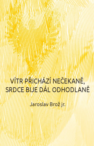 public://cover/cover_316638.jpg