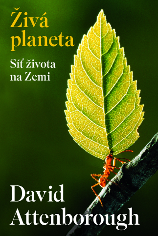 public://cover/cover_406492.jpg