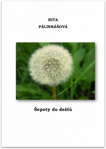 public://cover/cover_5401.jpg