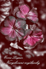public://cover/cover_174047.jpg