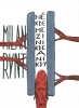public://cover/cover_13605.jpg